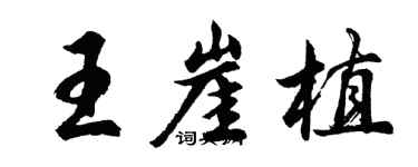 胡問遂王崖植行書個性簽名怎么寫