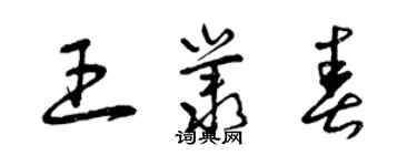 曾慶福王叢春草書個性簽名怎么寫