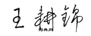 駱恆光王耕錦草書個性簽名怎么寫