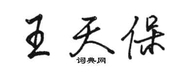 駱恆光王天保行書個性簽名怎么寫