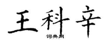 丁謙王科辛楷書個性簽名怎么寫