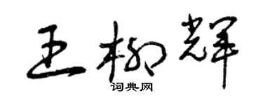 曾慶福王柳輝草書個性簽名怎么寫