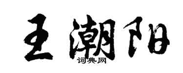 胡問遂王潮陽行書個性簽名怎么寫