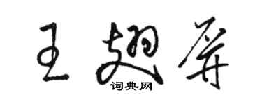 駱恆光王翅屏草書個性簽名怎么寫