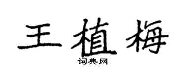 袁強王植梅楷書個性簽名怎么寫