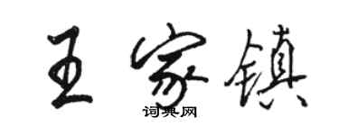 駱恆光王家鎮行書個性簽名怎么寫