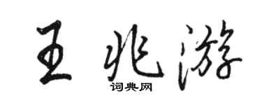 駱恆光王兆遊行書個性簽名怎么寫