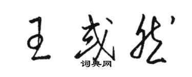 駱恆光王或然草書個性簽名怎么寫