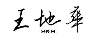 王正良王地華行書個性簽名怎么寫