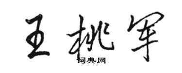 駱恆光王桃軍行書個性簽名怎么寫