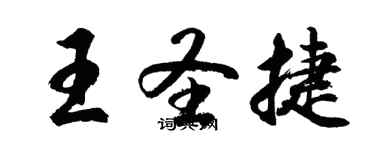 胡問遂王聖捷行書個性簽名怎么寫
