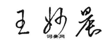 駱恆光王妙晨草書個性簽名怎么寫