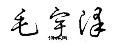 曾慶福毛宇澤草書個性簽名怎么寫