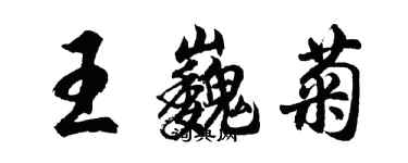 胡問遂王巍菊行書個性簽名怎么寫