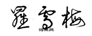 曾慶福羅雪梅草書個性簽名怎么寫