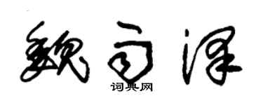 朱錫榮魏雨澤草書個性簽名怎么寫