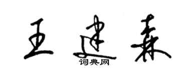 梁錦英王建森草書個性簽名怎么寫