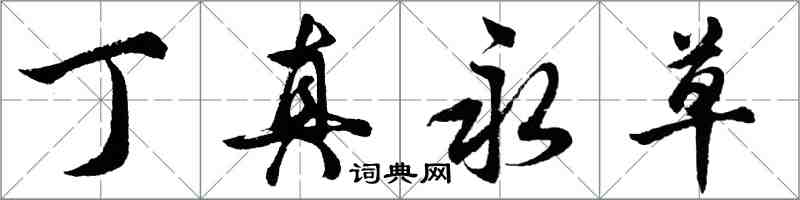 胡問遂丁真永草行書怎么寫