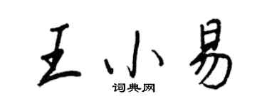 王正良王小易行書個性簽名怎么寫