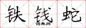 袁強鐵錢蛇楷書怎么寫