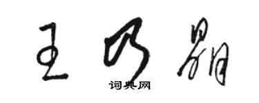 駱恆光王乃晶草書個性簽名怎么寫