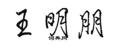 駱恆光王明朋行書個性簽名怎么寫