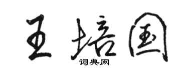駱恆光王培國行書個性簽名怎么寫