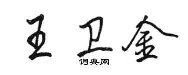 駱恆光王衛金行書個性簽名怎么寫