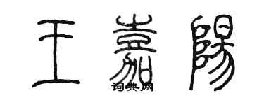 陳墨王嘉陽篆書個性簽名怎么寫