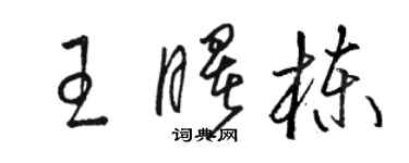 駱恆光王曙棟草書個性簽名怎么寫