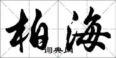 胡問遂柏海行書怎么寫