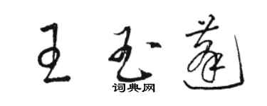 駱恆光王玉蓬草書個性簽名怎么寫