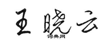 駱恆光王曉雲行書個性簽名怎么寫