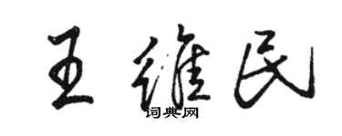 駱恆光王維民行書個性簽名怎么寫