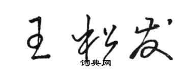 駱恆光王松發草書個性簽名怎么寫