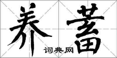 翁闓運養蓄楷書怎么寫