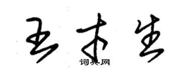 朱錫榮王才生草書個性簽名怎么寫