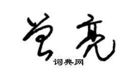 朱錫榮曾亮草書個性簽名怎么寫