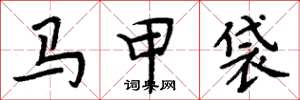 周炳元馬甲袋楷書怎么寫