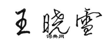 駱恆光王曉雪行書個性簽名怎么寫