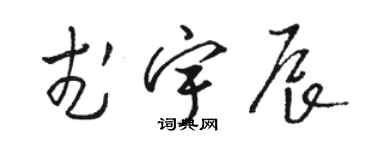 駱恆光武宇辰草書個性簽名怎么寫