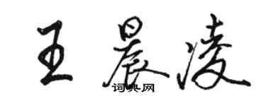 駱恆光王晨凌行書個性簽名怎么寫