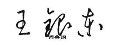 駱恆光王銀東草書個性簽名怎么寫