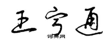 曾慶福王寧通草書個性簽名怎么寫