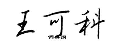 王正良王可科行書個性簽名怎么寫