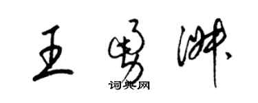 梁錦英王勇淑草書個性簽名怎么寫