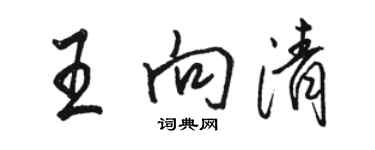 駱恆光王向清行書個性簽名怎么寫