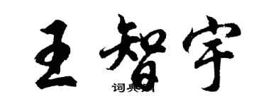 胡問遂王智宇行書個性簽名怎么寫