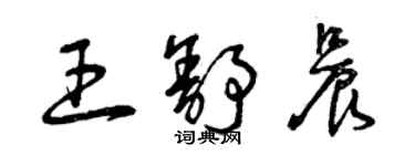 曾慶福王舒晨草書個性簽名怎么寫