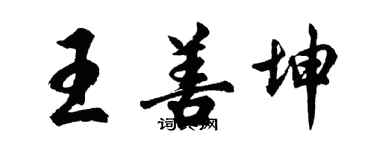 胡問遂王善坤行書個性簽名怎么寫